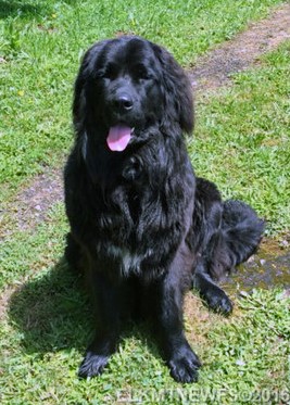 Photo: Bella Blue 3