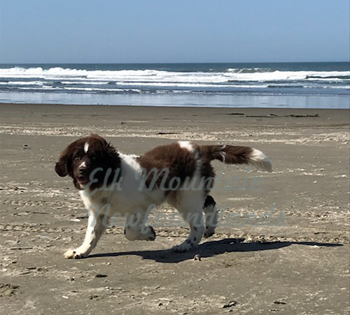 Photo: Millie 4