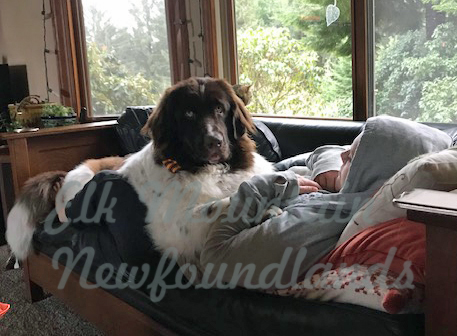 Photo: Millie 5