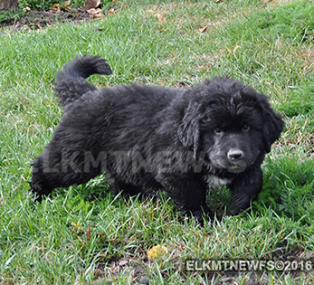 Photo: Murphy 3