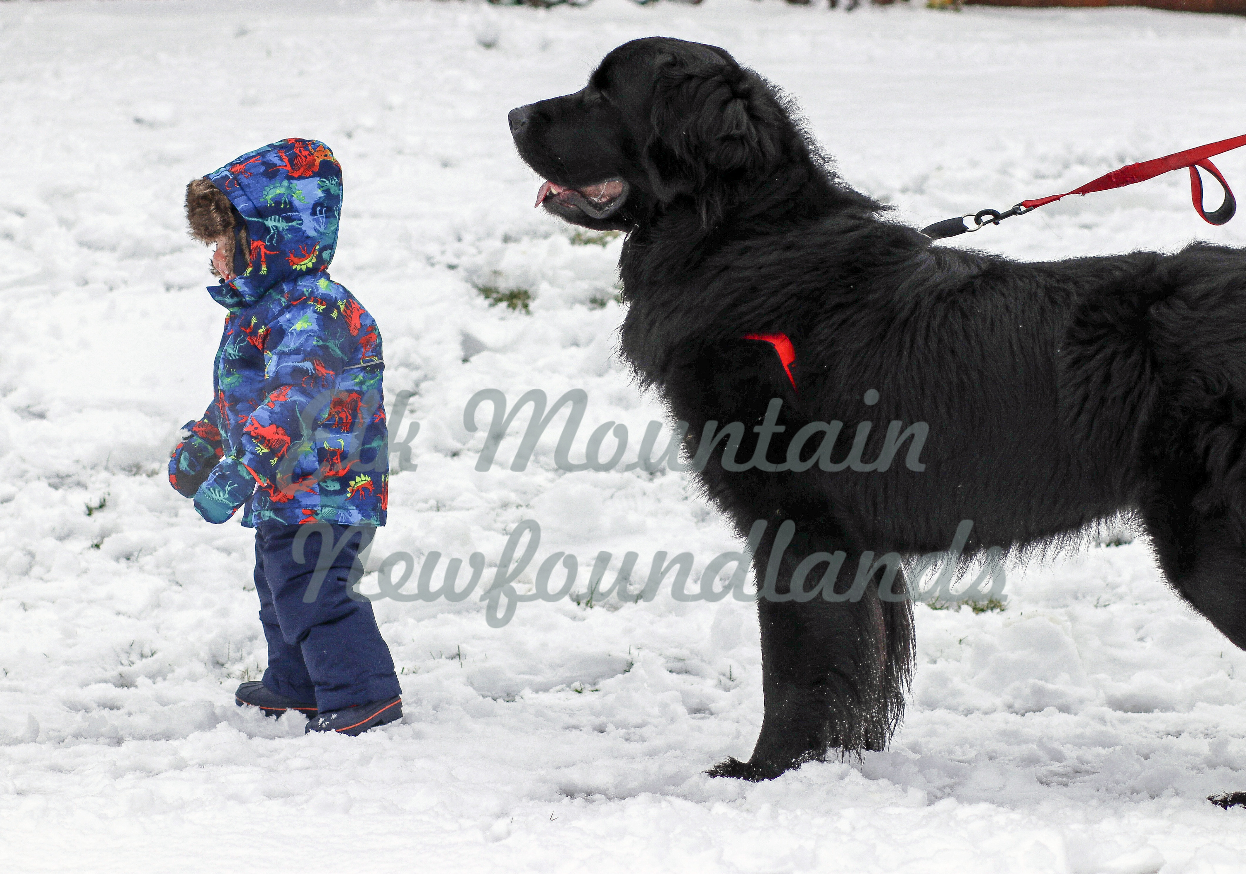 Photo: Murphy 5