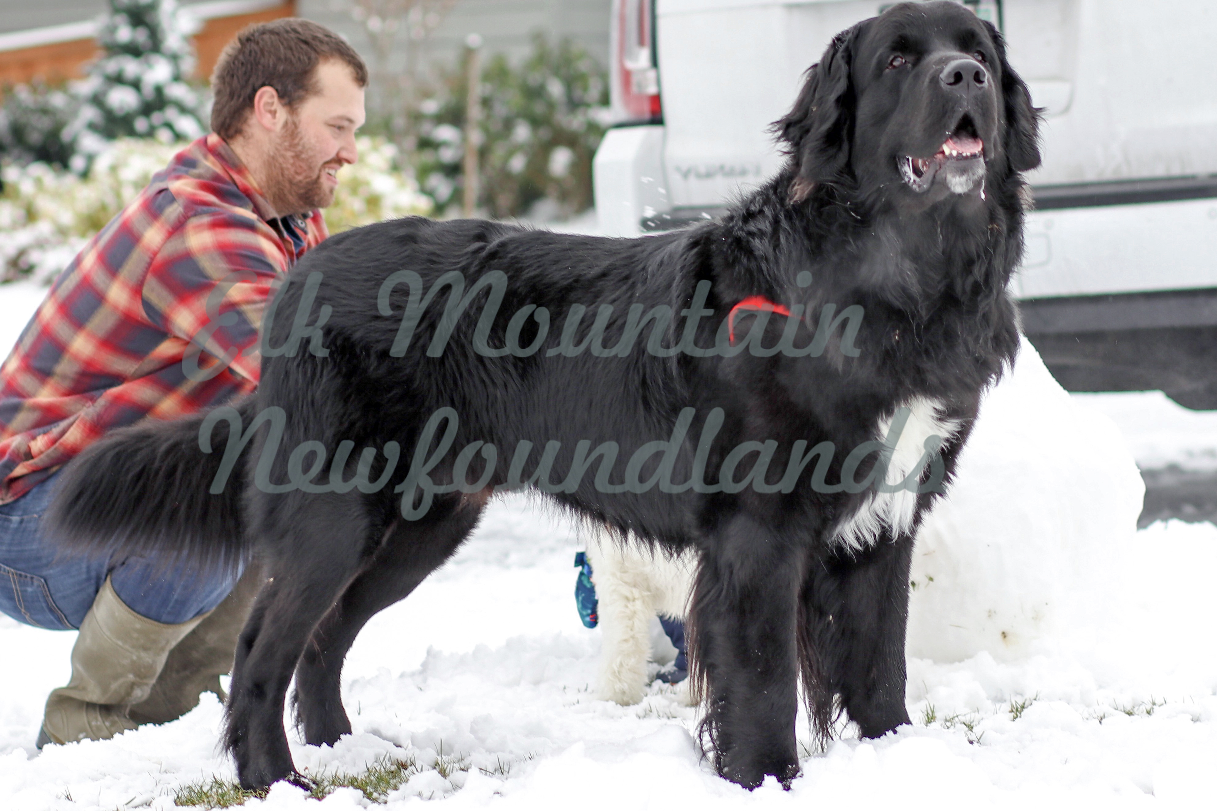 Photo: Murphy 6